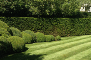 Webdesign 1 - De tuinieker (2)